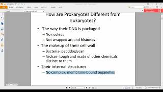 Prokaryotic Cell Structure amp Function [upl. by Abita]