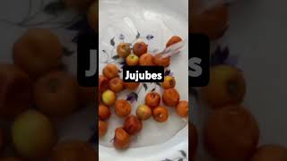 Organic food jujubesshortvideo relaxingmusic viralvideo trending ytshorts [upl. by Cohin390]