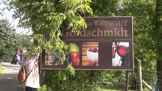 PUNKTum Obsthof Goldschmidt Beyernaumburg lud zu Federweißerfest [upl. by Patience817]