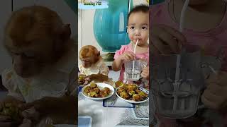 baby Bear and monkey Titi enjoy eating green rice rolls monkeybaby cute shortsvideo [upl. by Assennav]