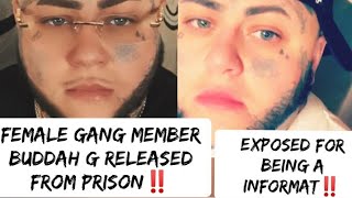 Female Drill Rapper Buddah G Released From Prison She Was A INFORMAT On A Case Against A Friend [upl. by Marten]