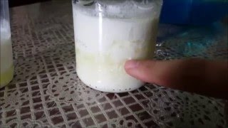 Bulgaros de leche tips recomendaciones y consejos [upl. by Vigor]