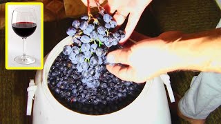 How to make red wine [upl. by Ahsiuqram]