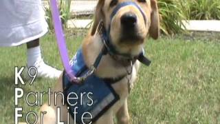 DOC amp JCI Canine Partners for Life  One Month [upl. by Syhr974]