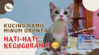 Obat Cacing Yang Aman Untuk Kucing Hamil [upl. by Tanitansy]