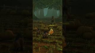 quotGeh mal an die frische Luftquot  Elwynn Forest Nostalgie worldofwarcraft wowclassic thewarwithin [upl. by Walton269]