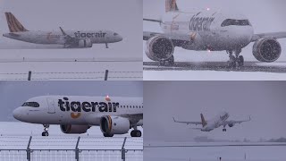 231230 旭川空港 国際線 Tigerair A320200N B50026 Arrival amp Departure at Asahikawa Airport RJEC [upl. by Neeloc]