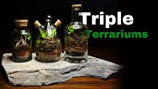 DIY TRIPLE terrarium stone [upl. by Mencher]