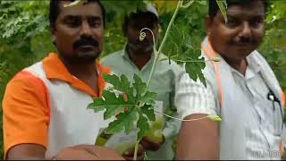 Karyon Organic Pvt Ltd कार्ले उत्पादक खूप खूप समाधान832910274 [upl. by Bartko]