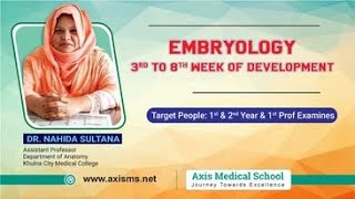 Embryology  3rd to 8th Week of Development [upl. by Arin]