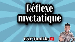 Réflexe myotatique 03 BAC Tunisie  Potentiel daction et potentiel local [upl. by Aneev]