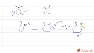 An organic lactum A on acid hydrolysis produces an amino acid B which on treatment [upl. by Halsted]