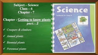 Getting to know plants Part  2 Class  6 Ncert Science [upl. by Sileas591]