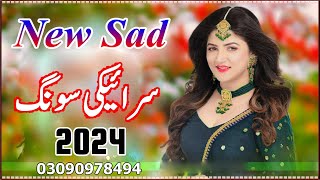 New Saraiki Song 2024  Saraiki All Singer Songs 2024 [upl. by Cochard]