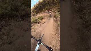 The Best of the Crown Royale in 60 Seconds mtb bestflow [upl. by Oileve]