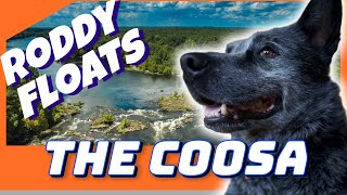 Roddy Floats the Coosa [upl. by Pike]