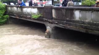 Sondersendung  Hochwasser in Betzingen  Reutlingen [upl. by Adnwahsat]