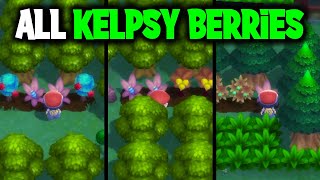 ALL KELPSY BERRY LOCATIONS ON POKEMON BRILLIANT DIAMOND AND SHINING PEARL [upl. by Zaria]