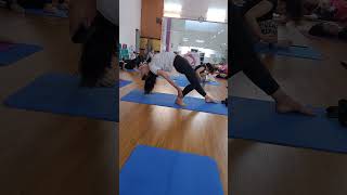 Chakrasana variationflexibilitybackbending motivation virashorts yogaroutine trending [upl. by Angadresma]