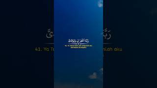 QS IBRAHIM alquran freepalestine islamicvideo islam islamic islamicshorts [upl. by Odnomyar81]