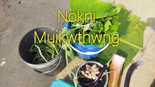 Nokni Muikwthwng Thummani Mojani Juda  CKalai Vlogs [upl. by Zachery]