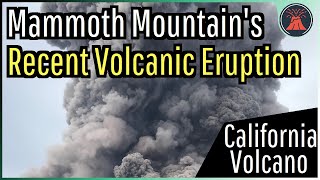 The Recent Volcanic Eruption at Mammoth Mountain in California [upl. by Frances157]