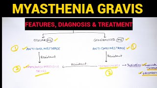 Autonomic Pharmacology  6  Myasthenia Gravis  EOMS [upl. by Nide]