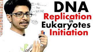 Eukaryotic DNA replication Initiation  DNA replication in eukaryotes lecture 1 [upl. by Sedinoel243]