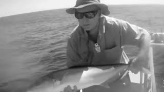 Yellowtail King fishing Moreton Bay  epic battle [upl. by Krischer]