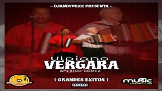 🥵 GRANDES EXITOS🔥 ULPIANO VERGARA MIX  DJANDYMIXX ❌️ ULTRAMIXPTYmixdetipico 2024 [upl. by Ilek]