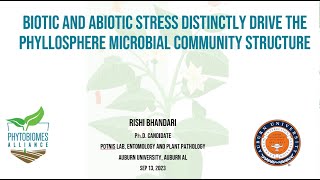 Biotic and abiotic stress distinctly drive the phyllosphere microbial community structure [upl. by Jun]