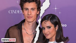 Why Camila Cabello amp Shawn Mendes Knew It Was Time To ‘MOVE ON’ [upl. by Brucie]