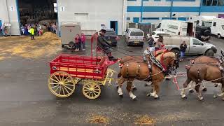 Team of 4 Heavy horse turnouts Royal Highland Show 2024 [upl. by Onitselec]