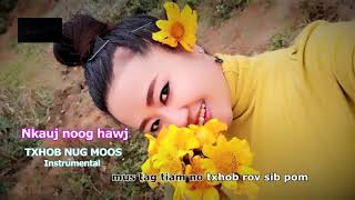 Txhob nug moo lawm karaoke 2832019 [upl. by Swift49]