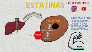 ESTATINAS [upl. by Mccandless21]