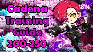 Cadena Training Guide 200  250 [upl. by Hedgcock]