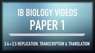 DNA Replication Transcription amp Translation  IB SL Biology Past Exam Paper 1 Questions [upl. by Stearne]