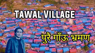 Tawal Village 2024 तावल गाउँ सबै घुमियाे  Beautiful village in Nepal [upl. by Kovacev602]