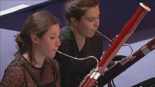 Beethoven Symphony No 4 bassoon Solo [upl. by Olinde]