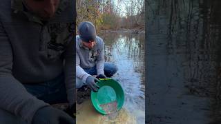 Panning for Gold on Bedrock findinggold goldprospecting gold [upl. by Olegnaid]