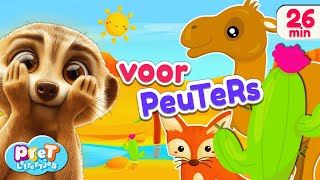 Dierengeluiden Voertuigen amp Woordjes Leren met Pretlettertjes  Voor Peuters [upl. by Acisej259]