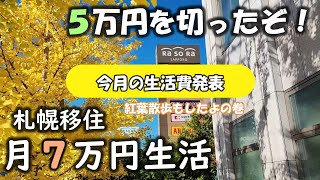 【50代男生活費7万円】札幌移住４ヶ月目～10月の生活費発表～ [upl. by Nahtnahoj]