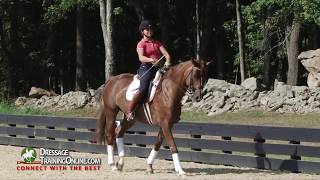 How to do a very effective Prix St George warm up with Dressage trainer Catherine Haddad Staller [upl. by Htebaras272]