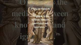 Navigating Between Knowledge and Ignorance  Plato on Opinion [upl. by Gere]