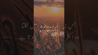 Zakhm 😔🥀whatsappstatus 2line poetry virlshoiurdupoetry youtubeshots islamicstatu [upl. by Mayman]