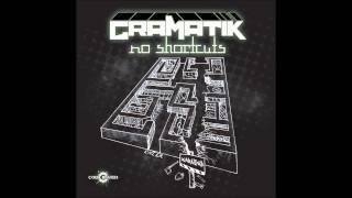 Gramatik  Defying Gravity [upl. by Diandra]