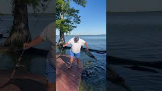 Bank Fishing on Reelfoot Lake fishing outdoors lakelife makememories [upl. by Pals]