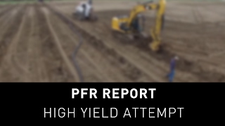 Becks PFR Report  High Yield Attempt [upl. by Elocyn168]