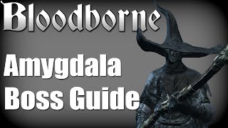 Bloodborne  Amygdala Boss Guide no items no damage taken [upl. by Beebe]