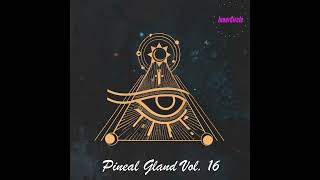 Pineal Gland Vol 16  432hz Solfeggio Frequency  REACTIVATE YOUR PINEAL GLAND [upl. by Zolner]